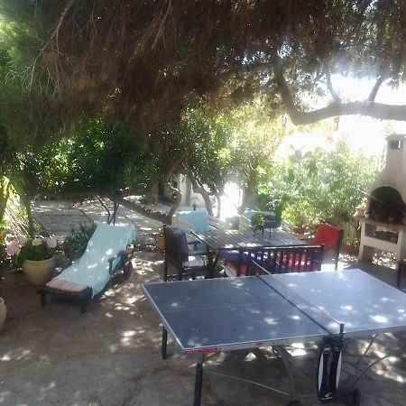 B&B Villa Piera Montecucco Stintino Dış mekan fotoğraf