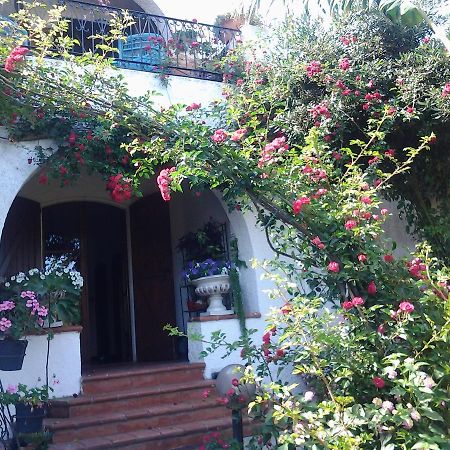 B&B Villa Piera Montecucco Stintino Dış mekan fotoğraf