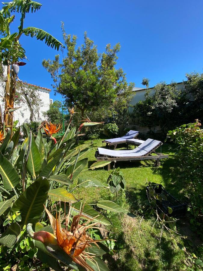B&B Villa Piera Montecucco Stintino Dış mekan fotoğraf